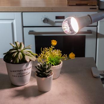 LED-A60-10W-SPFR-E27-CL PLP01WH Лампа светодиодная для растений. Форма A. прозрачная колба. Картон. ТМ Uniel