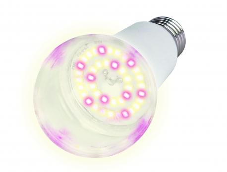 LED-A60-15W-SPFB-E27-CL PLP30WH Лампа светодиодная для растений. Форма A. прозрачная. Спектр для фотосинтеза. Картон. ТМ Uniel LED-A60-15W-SPFB-E27-CL PLP30WH Лампа светодиодная для растений. Форма A. прозрачная. Спектр для фотосинтеза. Картон. ТМ Uniel