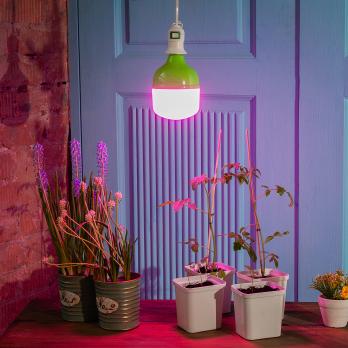 LED-M80-20W-SPSB-E27-FR PLS55GR Лампа светодиодная для растений. IP54. Форма M. матовая. Спектр для рассады и цветения. Картон. TM ФитоЛето