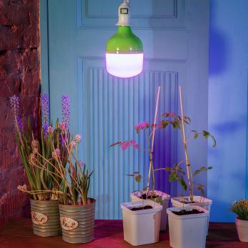 LED-M80-20W-SPSB-E27-FR PLS55GR Лампа светодиодная для растений. IP54. Форма M. матовая. Спектр для рассады и цветения. Картон. TM ФитоЛето