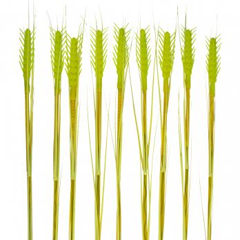 USL-S-817-PT800 CORN SET10 Садовый светильник на солнечной батарее Колосья. в комплекте из 10 штук. 120 светодиодов. Теплый белый свет. 1xАА Ni-Mh аккумулятор в-к. IP44. TM Uniel